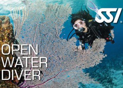 Open water diver SSI