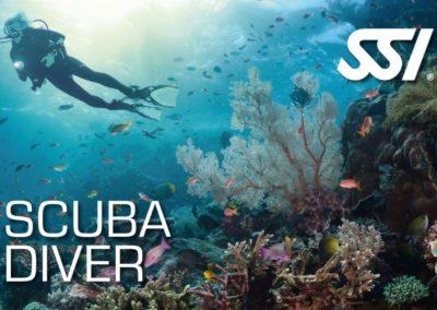 Scuba diver SSI