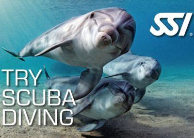 Bautizo de buceo