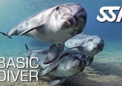 Basic diver
