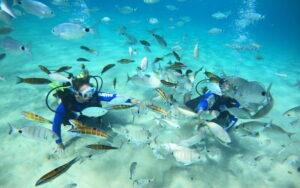 Cursos buceo nativediving