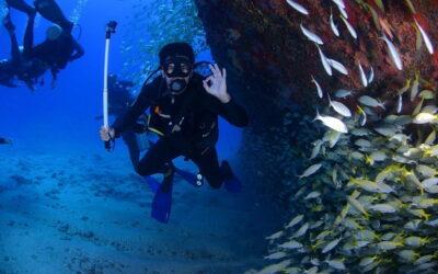 Los cursos de submarinismo para principiantes de Native Diving en Lanzarote